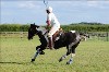 UKPA  NC Sat_1272
